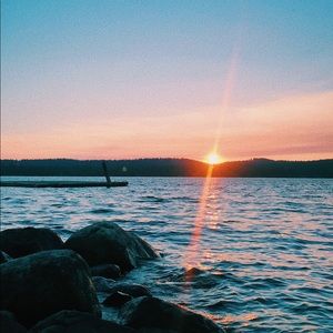 Meet your Posher, Molly